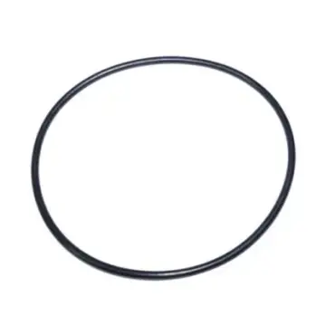 o-ring corpo pompa yamaha selva