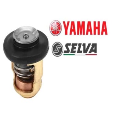 valvola termostatica f40 f60 yamaha