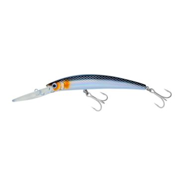 AKAMI DOURO 110 - SHINER MULLET