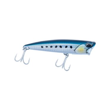 AKAMI SQUASH 120 - SARDINE