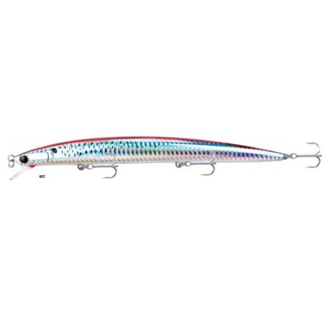 AKAMI WILD 180 - RGT
