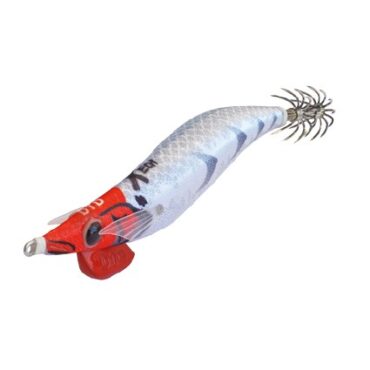 DTD X-EGI - RH