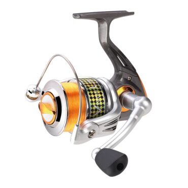 LIT'L FISH VISION