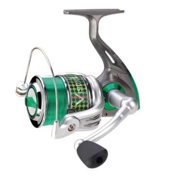 LIT'L FISH VISION