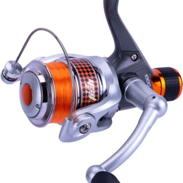 LIT'L FISH VISION RD - ORANGE, 1000