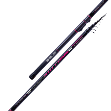 SELE COMPETITION - 122, 4.00